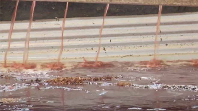 屠宰廢水處理 屠宰廢水處理