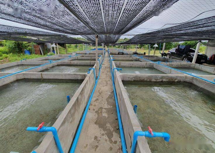 水產養(yǎng)殖污水 水產養(yǎng)殖污水