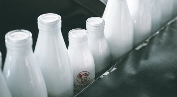 牛奶加工廢水-青島樂中環保科技有限公司 牛奶加工廢水-青島樂中環保科技有限公司