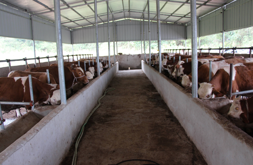 養殖場污水處理方法，養殖污水處理設備的用途講解02