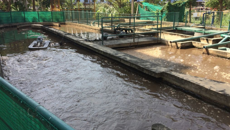 食品加工污水處理流程有哪些?如何更好的處理食品廢水? 食品加工污水處理流程有哪些?如何更好的處理食品廢水?