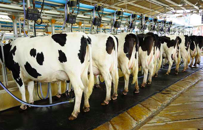 養(yǎng)殖場畜禽廢水處理的重要性 養(yǎng)殖場畜禽廢水處理的重要性