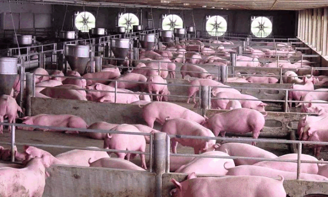 養殖廢水處理方法有哪些 養殖廢水處理方法有哪些