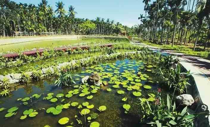人工濕地設計規范說明書(人工濕地設計方案詳細介紹) 人工濕地設計規范說明書(人工濕地設計方案詳細介紹)