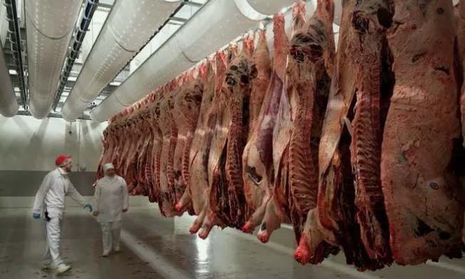 屠宰污水處理方法(常用屠宰污水處理系統有哪些方法) 屠宰污水處理方法(常用屠宰污水處理系統有哪些方法)