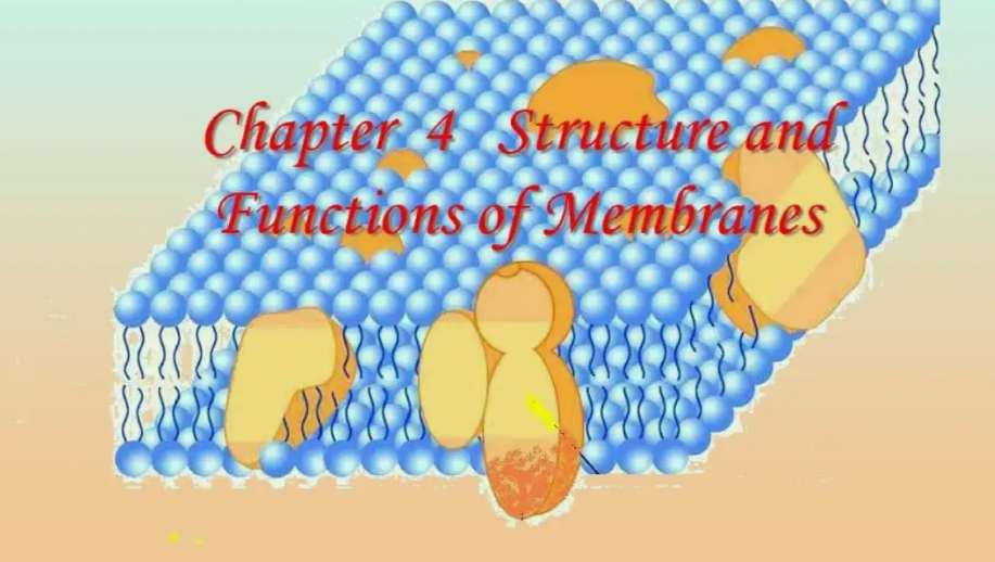 生物膜法和活性污泥法的區別是什么(活性污泥法與生物膜法優缺點) 生物膜法和活性污泥法的區別是什么(活性污泥法與生物膜法優缺點)