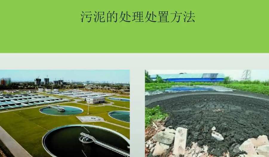 污泥處理工藝流程主要設備(污泥處理系統工藝流程圖) 污泥處理工藝流程主要設備(污泥處理系統工藝流程圖)