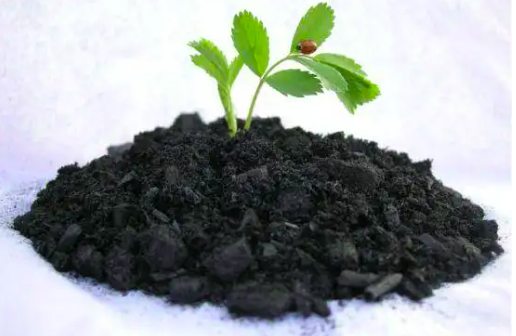 生物炭的作用有哪些(生物炭的用途有哪些) 生物炭的作用有哪些(生物炭的用途有哪些)