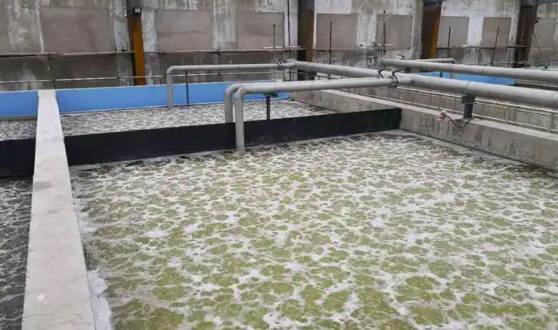 曝氣生物濾池工作過程(曝氣生物濾池原理及用途) 曝氣生物濾池工作過程(曝氣生物濾池原理及用途)