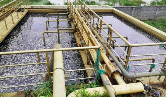 養殖污水處理最好方法(養豬化糞池污水怎么處理) 養殖污水處理最好方法(養豬化糞池污水怎么處理)