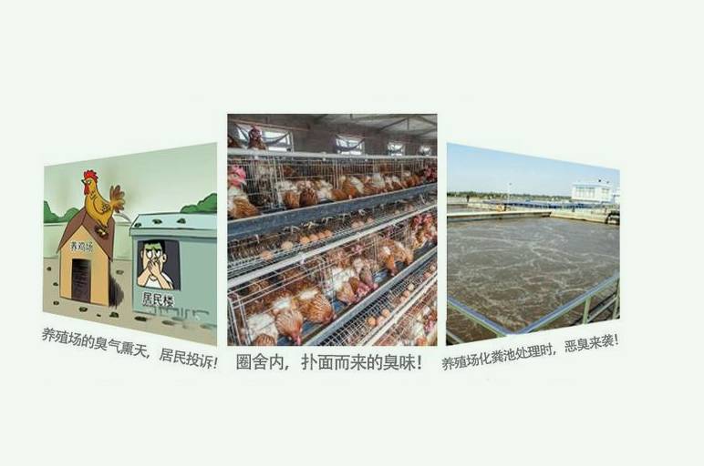 養(yǎng)殖場排放的臭氣對人危害有哪些(養(yǎng)殖場的氣味對身體有害嗎) 養(yǎng)殖場排放的臭氣對人危害有哪些(養(yǎng)殖場的氣味對身體有害嗎)