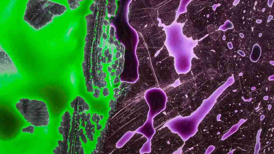 免疫熒光實(shí)驗(yàn)原理及其步驟講解(免疫熒光實(shí)驗(yàn)流程) 免疫熒光實(shí)驗(yàn)原理及其步驟講解(免疫熒光實(shí)驗(yàn)流程)